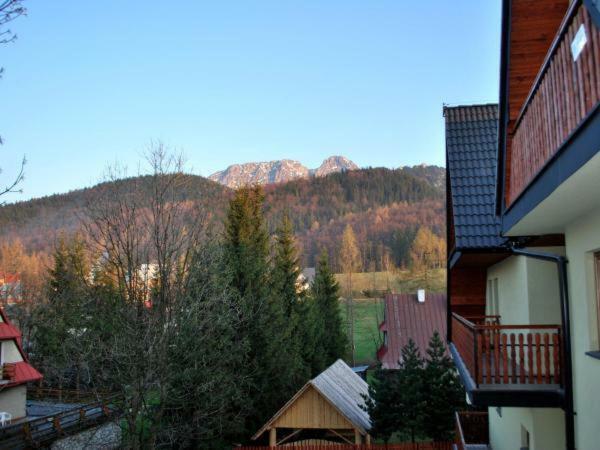 Apartament Domino - Krzeptowki 06 Zakopane Esterno foto